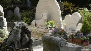 How to find your pet's garden at pet rest? The Rising Popularity Of Pet Crematoriums And Cemeteries Bbc News