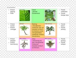 Di pngtree, anda boleh menemui pokok gambar clipart dan memuat turunnya secara percuma. Leaf Diagram Brand Tree Leaf Leaf Text Brand Png Pngwing