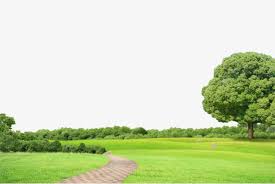la nature du fond clipart nature la nature contexte fichier png et psd pour le telechargement libre arbre png clipart arriere plan