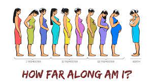 Maybe you would like to learn more about one of these? You Re Pregnant How Far Along Am I Baby Due Date