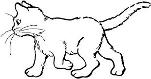 Check out our chat simple selection for the very best in unique or custom, handmade pieces from did you scroll all this way to get facts about chat simple? 131 Dessins De Coloriage Chat A Imprimer