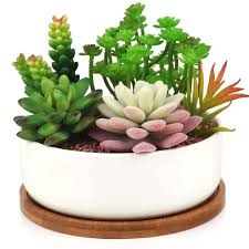 Macetas de cemento decoradas para cactus son, además, un detalle especial si estás pensado en hacer un regalo diferente. Macetas Para Cactus Y Suculentas Oferta 2021