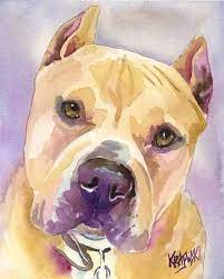 pin on pit bull drawings art
