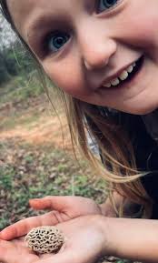 Oklahoma morel mushroom finds in Seminole County