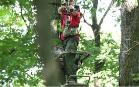 How To Shoot At A Deer From A Tree Stand Tree Stand Hunting Deer Stand Plans