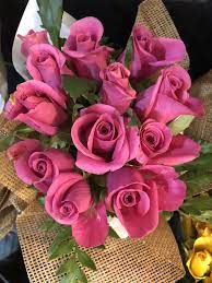 Check spelling or type a new query. Flowers At Woolworths Seem Always To Be Fresh Flowers Flowers Rose Plant Leaves