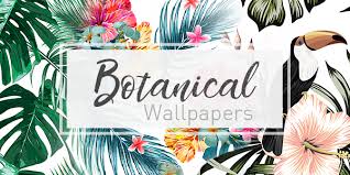 Turn placemats into hanging planters. Wallcover