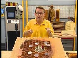C Est Pas Sorcier Le Declin Des Abeilles Bugs Preschool Bee Theme Banana Cream Cheesecake