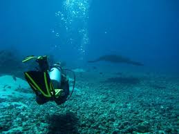 Thousands of products in stock and ready to ship. Scuba Diving Reviews Best Sites Where To Dive Next