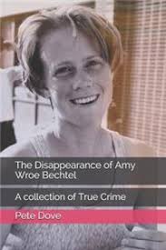 The Disappearance of Amy Nel