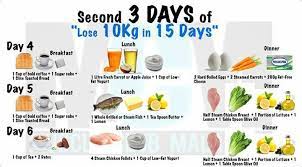 Summary Of The 15 Days Lose 10kg Plan Surayaalssendra