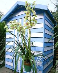 Check spelling or type a new query. The Beach Hut Garden Shed Beach Bliss Living