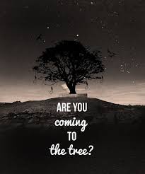 If We Met At Midnight In The Hanging Tree Are You Coming To The Tree Hunger Games Hunger Games Memes Hunger Games Catching Fire