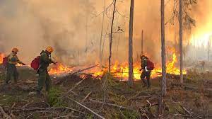 Wildland fire managers and firefighters prepare for another day of temperatures 10 to 20 degrees above average in many states. Siberian Wildfires Spread 17 5 In 24 Hours The Moscow Times