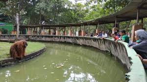 Check spelling or type a new query. Tag Bonbin Mangkang Direktur Semarang Zoo Stok Makanan Untuk Satwa Aman Hingga Akhir Tahun Tribun Jateng