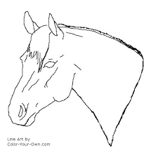 Select from 35450 printable crafts of cartoons, nature, animals, bible and many more. Quarter Horse Stallion Headstudy Coloring Page
