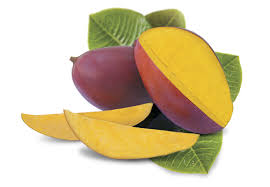 Mudas Frutíferas (Nativas e Exóticas) - Frutabella