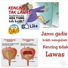 10 orang yang mengalami kanser pundi kencing telah menjalani kajiselidik sf36. Babyaya Babyaya13 Twitter