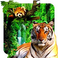 Neon animal live wallpaper apk. 3d Animals Parallax Live Wallpaper Apk 2 0 0 Download Apk Latest Version