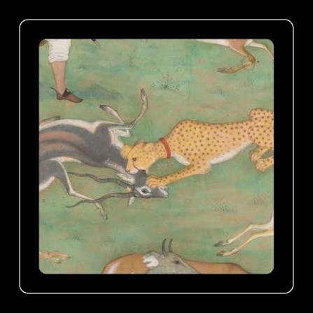 During their hunting expeditions, the Mughals used trained cheetahs, like the one sporting a red collar in the painting, to bring down their prey. Akbar, the Mughal emperor, had a particular soft