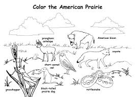 All rights belong to their respective owners. Great For A Prairie Lesson Coloring Pages Animal Habitats Dog Coloring Page