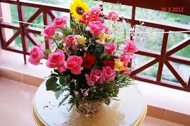 Funny good morning quotes with images for friends. Flowers For My Wife For Her Birthday Picture Of Pyramisa Island Aswan Tripadvisor