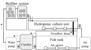 Schematic Diagram Of The Experimental Aquaponic System Adapted From Download Scientific Diagram