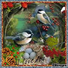 Bird Is The Word Gif Https Encrypted Tbn0 Gstatic Com Images Q Tbn 3aand9gcrprpj7vgzlewz8co0mnioaqzgtdtae8qfwvw Usqp Cau