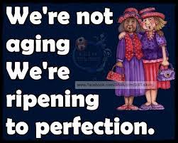 Pin By Lynn Nelson On Funny Quotes And Pictures Red Hat Society Fashion Hat Quotes Red Hat Society