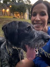 Second Chance Bird Dogs (Group)