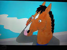This scene will never not make me tear up. Such genuine emotion in his smile.  : r/BoJackHorseman