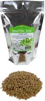 Amazon Com Organic Dried Green Lentil Sprouting Seed 1 Lb Dry Lentils For Planting Garden Seeds Soup Cooking Or Sprout Salad Sprouts Grocery Gourmet Food