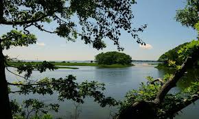 Check spelling or type a new query. The 8 Best Activities For Families On Shelter Island Family Traveller Usa