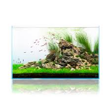 Elephant skin stone, also known as seegebirge stone, is a popular aquascaping material that is easily recognized for its unique texture and light color tone. Elephant Skin Stone Popular Planted Aquarium Hardscape For Aquascaping Glass Aqua