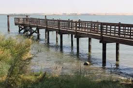 Maybe you would like to learn more about one of these? Pittsburg Pier Pier Fishing In California