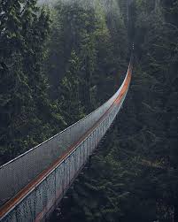 Would You Walk It Capilano Suspension Bridge Park Photo Kai Yhun Suspension Bridge Canada Travel Capilano Suspension Bridge
