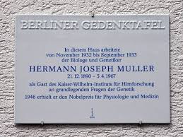 Hermann joseph muller was an american geneticist and winner of the 1946 nobel prize in physiology or medicine. H J Muller Wikiwand