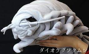 El Regalista Jueves Japo Los Isopodos Gigantes Giant Isopod Old Teddy Bears Plush Dolls