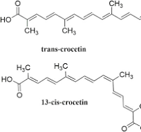 Frontiers | Crocetin: A Systematic Review