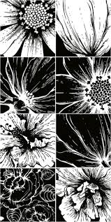 Black And White Flower Background Vector Black And White Flowers Vector Black And White Flowers Pink Flower Painting Flower Art