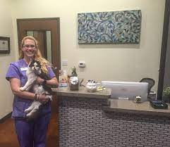 Maybe you would like to learn more about one of these? South Park Animal Hospital Opens Feline Only Wing On Slaughter Lane Community Impact