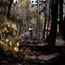 French Government Mobilizes Against Gironde Wildfires as Air Pollution Concerns Rise