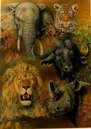 The Big Five Animals Wild African Animals Animals Artwork
