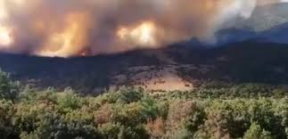 Βρες επιχειρήσεις και επαγγελματίες στη λευκίμμη έβρου και για κάθε μία θα βρεις: Mainetai H Fwtia Sth Leykimmh Ebroy Kaigontai Dasikes Ektaseis Ston Drymo Ths Dadias