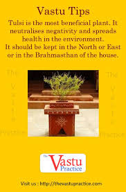 Vastu And Plants Plants Vastu Shastra Vastu For Garden Vastu House Feng Shui Contemporary Interior