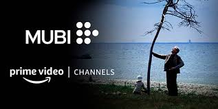 Amazon prime video black clovergeneral question (self.amazonprimevideo). More Movies And Series On Amazon Prime Video New Subscription Channels Arrive