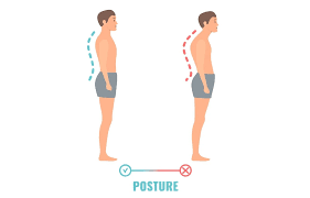 Image result for Posture