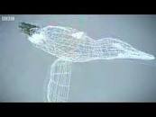 Image result for BBC zombies april fool