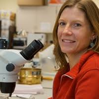 PDF) Variación regional en la importancia y usos del maíz en el Formativo  temprano y medio en la región olmeca: nuevos datos arqueobotánicos del  asentamiento rural de San Carlos, Veracruz