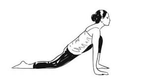 2 moving through the middle of the routine. Surya Namaskar Steps Beginner S Guide Healthfitness365 Com